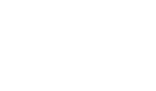 IDEA Public Schools Logo